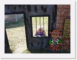 DSC03341 * 2592 x 1944 * (2.41MB)