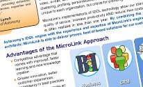 MicroLink Fact Sheet